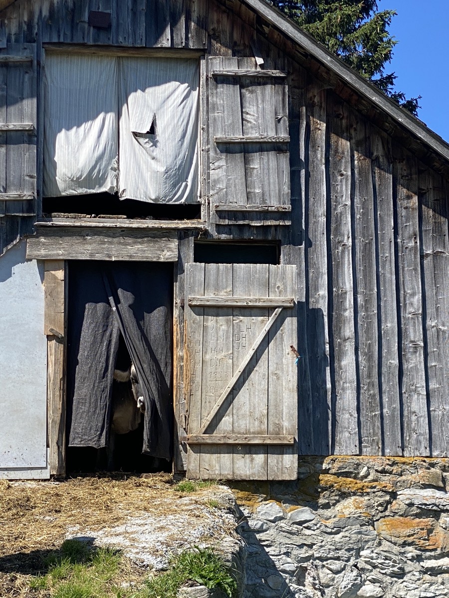 Alte Holzhütte am Berg