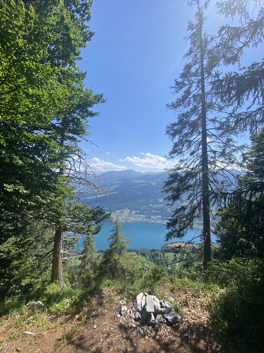 Waldweg mit Blick auf den See in der Tiefe